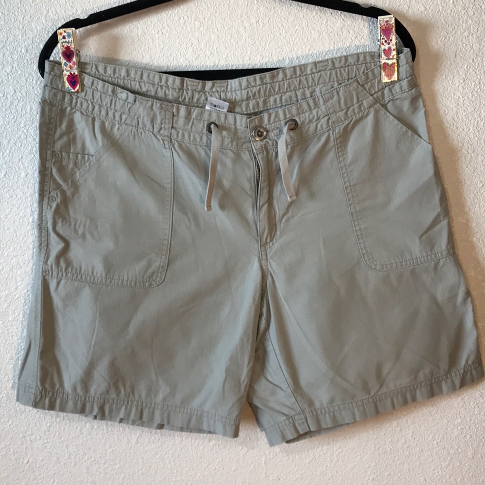 Taupe/Grey Patagonia Shorts